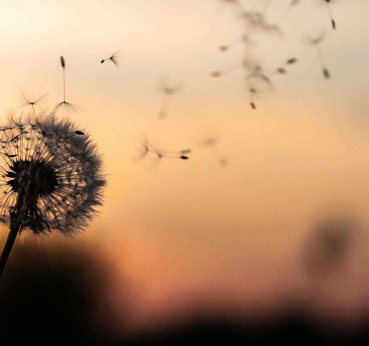 https://mateabogados.com/wp-content/uploads/2018/09/post_02-1-1280x1200.jpg