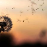 https://mateabogados.com/wp-content/uploads/2018/09/post_02-1-160x160.jpg
