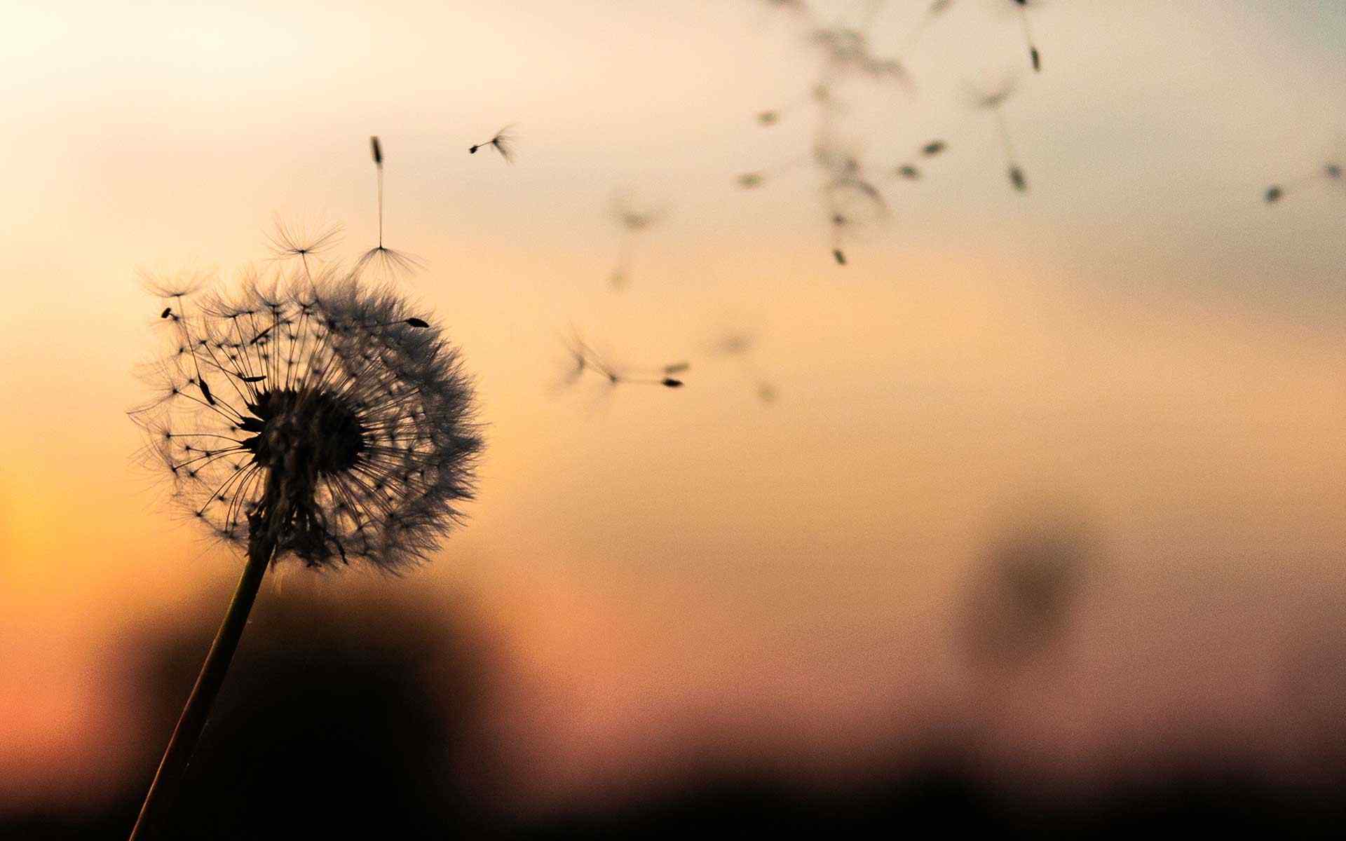 https://mateabogados.com/wp-content/uploads/2018/09/post_02-1.jpg