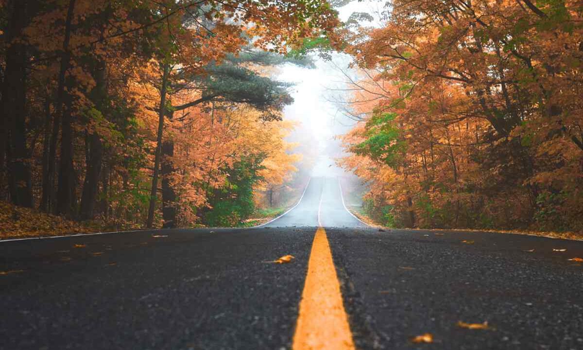 Reclamación de lesiones por accidentes de tráfico